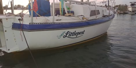 Vinyl boat name and gecko graphic installed on side of sailboat in Apollo Beach
